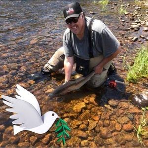 Meet your Posher, Robin